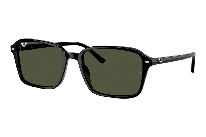 Ray-Ban RB2231 Raimond 901/31 Sonnenbrille Schwarz glänzend Dunkelgrün Gr. 56