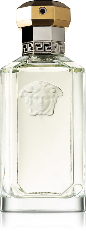 Versace The Dreamer Eau de Toilette 100 ml Herren