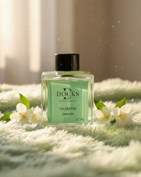 2er Set DOCKS Raumduft Set 110ml Diffuser mit Duftstäbchen – Lufterfrischer Duft Jasmin
