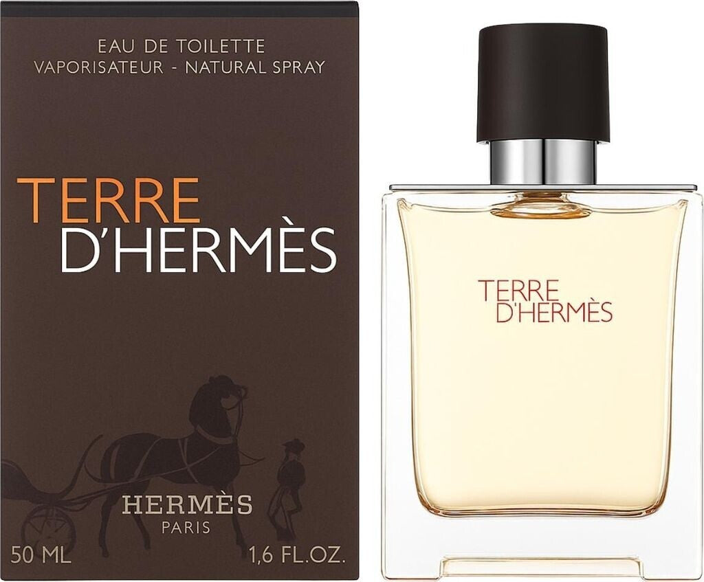 Hermès Terre d'Hermès Eau de Toilette 100 ml Herren